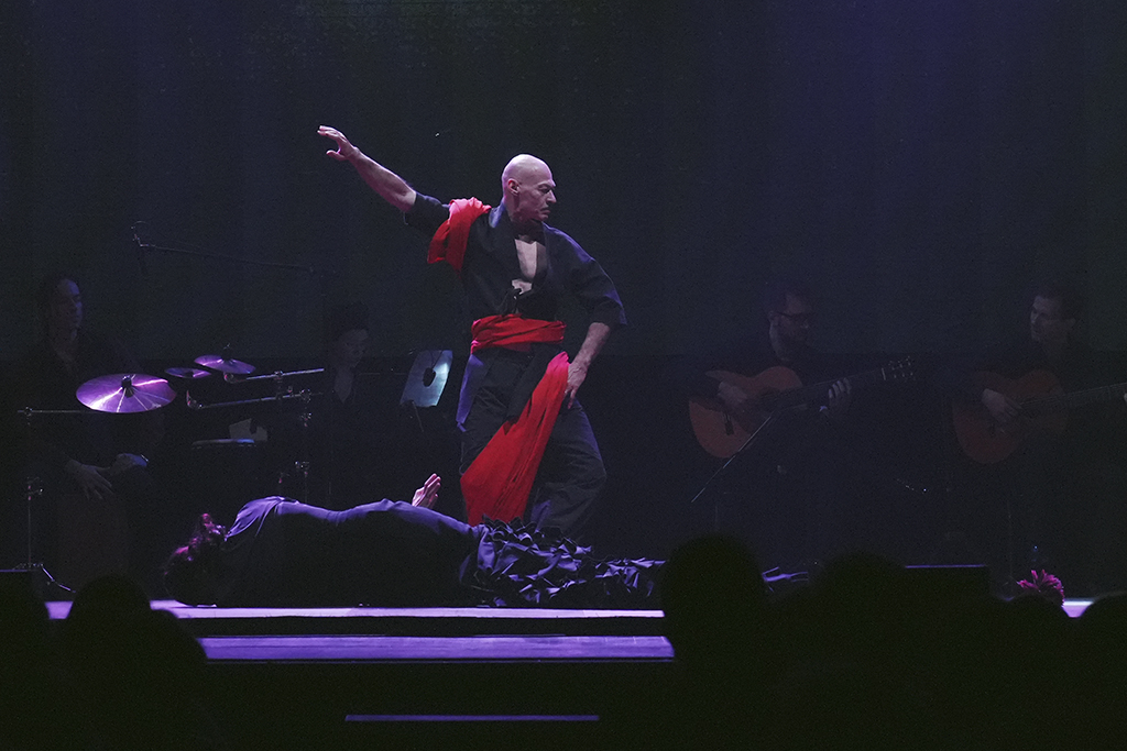 Фламенко-спектакль «Salvador»*