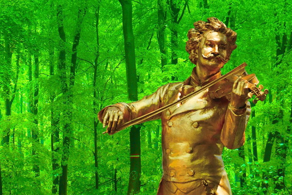 Strauss Gala: Tales from the Vienna Woods